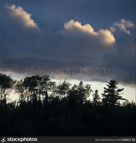 Silhouette of trees under dark clouds, Lake Of The Woods, Ontario, Canada