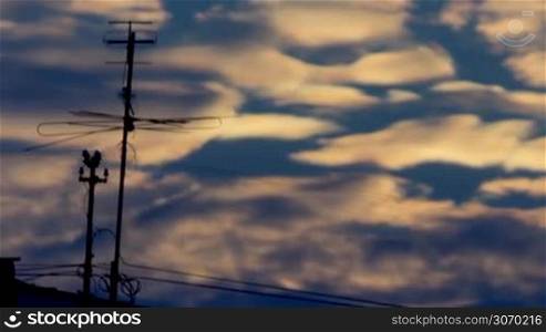 silhouette of TV antenna against the background of a blue sunset