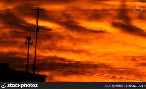 silhouette of TV antenna against the background of a burning sunset