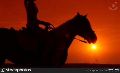 Silhouette of young girl riding horse at sunset