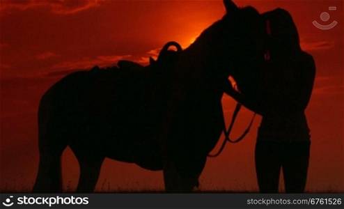Silhouette of young woman and horse during sunset