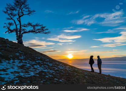 Silhouette scene of sacred tree at Cape Burkhan on Olkhon Island in Lake Baikal at sunset