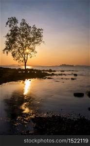 Silhouette tree against sunset at Koh Kwang island in Klong muang and Tub kaek beach in Krabi, Thailand. Famous travel destination for summer vacation of southern of Thai. Motion seascape twilight sky