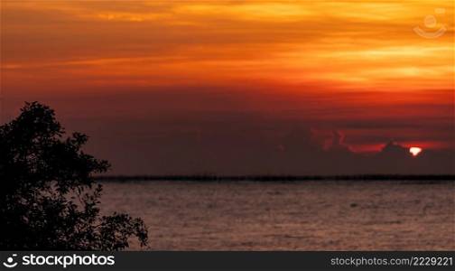 Silhouette tree on blur background of red and orange sunset sky over the tropical sea. Red sunset sky. Skyline at the sea. Tropical sea in summer. Scenic view of sunset sky. Calm ocean. Seascape. 