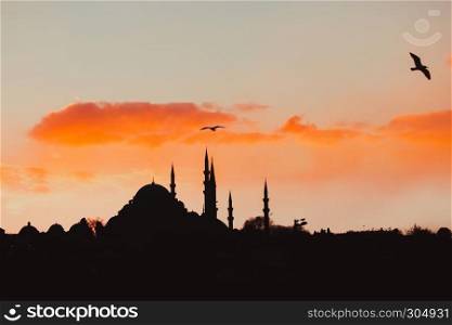 Silhouette view of Suleymaniye mosque an seagull at sunset in Istanbul,Turkey.. ISTANBUL/TURKEY- DECEMBER 24,2016: The New Mosque (Yeni Camii). The New Mosque is an Ottoman imperial mosque completed in 1665, located in Istanbul, Turkey