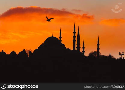 Silhouette view of Suleymaniye mosque an seagull at sunset in Istanbul,Turkey.. ISTANBUL/TURKEY- DECEMBER 24,2016: The New Mosque (Yeni Camii). The New Mosque is an Ottoman imperial mosque completed in 1665, located in Istanbul, Turkey