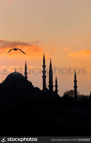 Silhouette view of Suleymaniye mosque an seagull at sunset in Istanbul,Turkey.. ISTANBUL/TURKEY- DECEMBER 24,2016: The New Mosque (Yeni Camii). The New Mosque is an Ottoman imperial mosque completed in 1665, located in Istanbul, Turkey