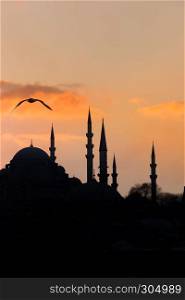 Silhouette view of Suleymaniye mosque an seagull at sunset in Istanbul,Turkey.. ISTANBUL/TURKEY- DECEMBER 24,2016: The New Mosque (Yeni Camii). The New Mosque is an Ottoman imperial mosque completed in 1665, located in Istanbul, Turkey
