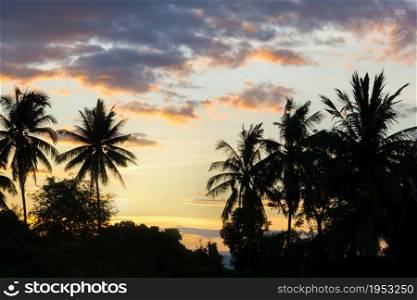Silhouetted Image Of Coconut Tree During Sunset, Beautiful Color Of The Sky And Dramatic Clouds.
