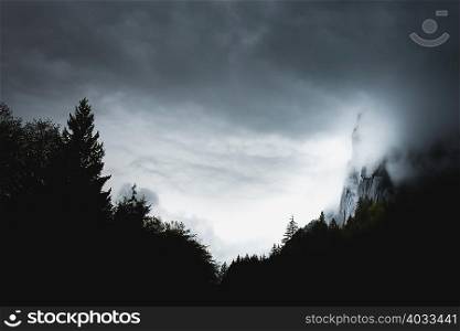 Silhouetted view of forest and stormy sky
