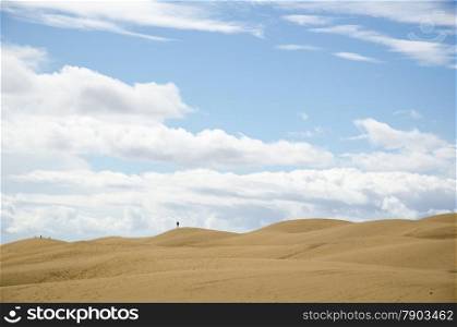 Silhouettes at the dunes in Maspalomas at Canary Islands in Spain