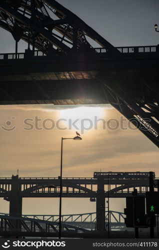 Silhouettes of a section of Tyne and High Level Bridges and a Sea Gull on a lamp post in Newcastle , England