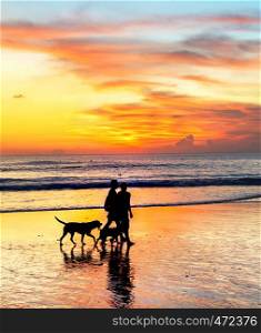 Silhouettes of couple with dogs walking at tropical beach in scenic sunset, Bali, Indonesia