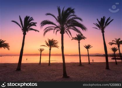 Silhouettes of palm trees against colorful sky at sunset. Tropical landscape with palms on the sandy beach, sea, gold sunlight in the evening in summer in Mallorca, Spain. Vintage tone. Nature