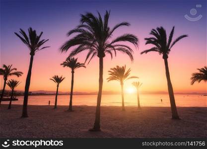 Silhouettes of palm trees against colorful sky at sunset. Tropical landscape with palms on the sandy beach, sea, gold sunlight in the evening in summer in Mallorca, Spain. Vintage style. Nature
