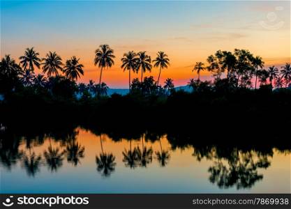 silhouettes of palm trees at dawn near a lake