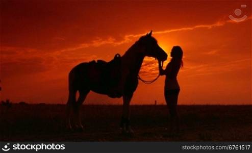 Silhouettes of woman and her horse at sunset in the field