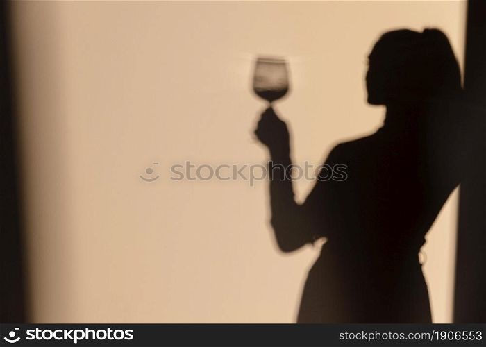 silhouettes woman drinking wine. High resolution photo. silhouettes woman drinking wine. High quality photo