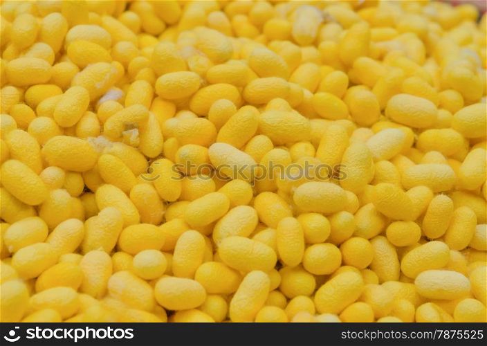 silkworm cocoon background, yellow silk worm