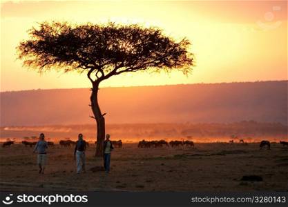 Sillouette of people against sunset sky in Kenya