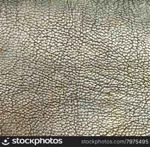 Silver genuine leather background