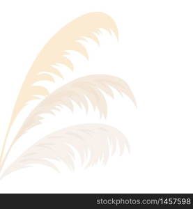 Silver Pampas grass Card template frame on the left with copy space. Vector illustration. Floral golden ornamental grass. flyer, flier, text textile, design arrangements, displays, decoration. Silver Pampas grass Card template frame on the left with copy space. Vector illustration. Floral golden ornamental grass.