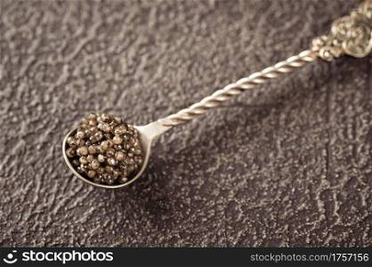 Silver teaspoon of black caviar close up