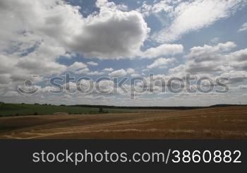 Silver Wheat in wind with cloudy sky