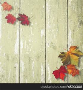 Simple autumnal backgrounds with maole leaf over wooden desk