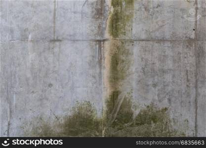 Simple dark concrete wall and floor background with texture
