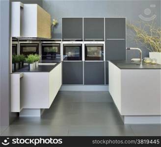 Simple Modern Kitchen with Three Ovens