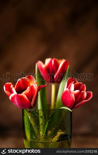 Simple rustic still life with blooming red tulips in a green glass on a dark wooden background. Fine art floral background with copy spase. Close Up.. Close up simple rustic still life with blooming red tulips in a green glass on a wooden background.