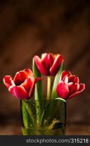 Simple rustic still life with blooming red tulips in a green glass on a dark wooden background. Fine art floral background with copy spase. Close Up.. Close up simple rustic still life with blooming red tulips in a green glass on a wooden background.