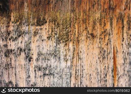 simple spotted brown aged wooden board natural background. brown aged wooden board background