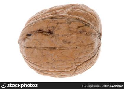 Simple wallnut isolated on a white background.