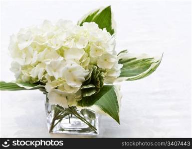 Simplicity offered in simple, white flower arrangement