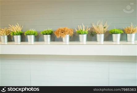Simply plant bucket decorated on counter, stock photo