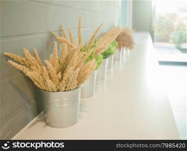 Simply plant bucket decorated on counter, stock photo