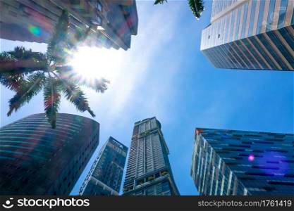 Singapore. Modern office skyscrapers and the sun?s rays through the green leaves of palm trees. Modern Office Skyscrapers and the Sun