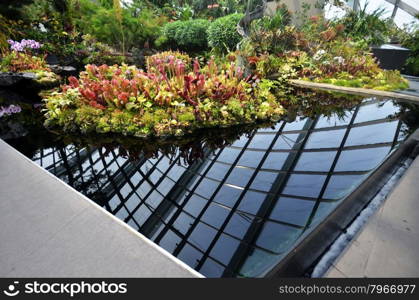 SINGAPORE- SEP 5: View of Cloud Forest at Gardens by the Bay on September 5, 2015. in Singapore. Gardens by the Bay is a park spanning 101 hectares of reclaimed land.