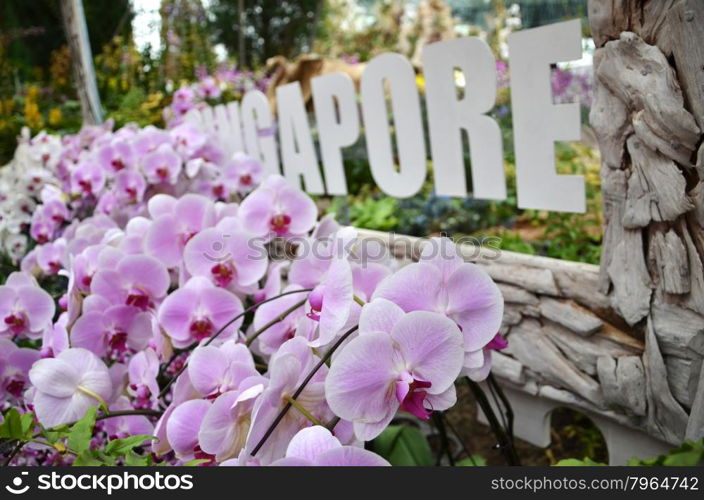 SINGAPORE- SEP 7: View of Flower Dome at Gardens by the Bay on September 7, 2015. in Singapore. Gardens by the Bay is a park spanning 101 hectares of reclaimed land.