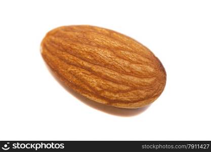 Single Almond Seed Close up Extreme Macro Shot isolated on a white background