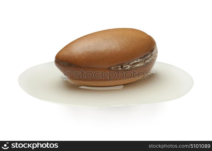 Single Argan nut laying in a puddle of oil