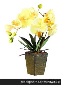 Single artificial branch flowers of yellow orchid in flowerpot. Isolated on white background. Close-up. Studio photography.