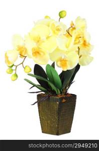 Single artificial branch flowers of yellow orchid in flowerpot. Isolated on white background. Close-up. Studio photography.
