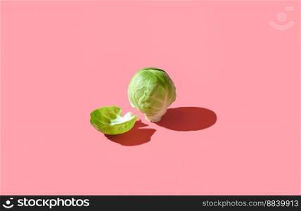 Single brussels sprout in bright light on a pink table. Minimalist shot with a brussel sprout isolated on a pink background.