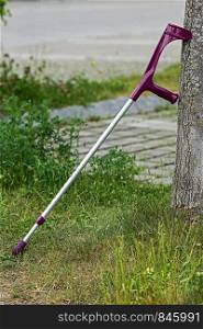 single crutch leaning against tree medical aid