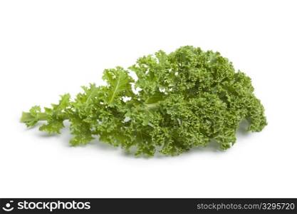 Single curly kale leaf on white background