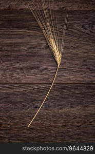 Single ear of wheat on wooden background
