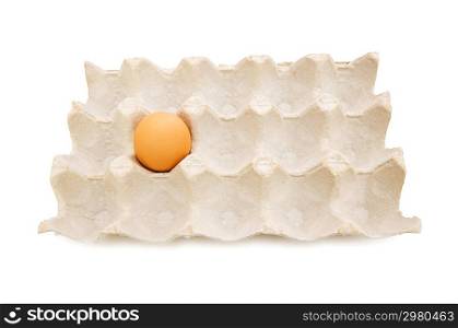 Single egg in carton isolated on white